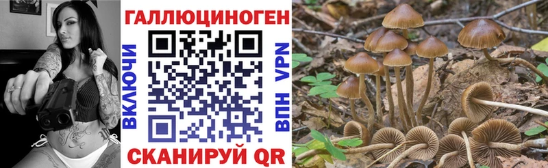 Псилоцибиновые грибы Psilocybine cubensis  где продают наркотики  Ярославль 